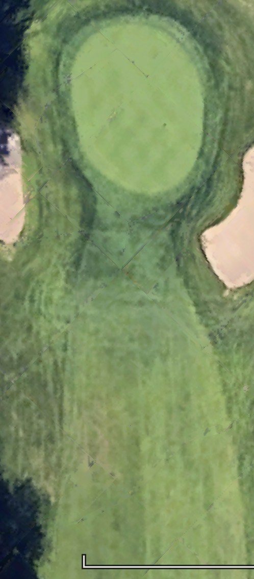 Close green aerial