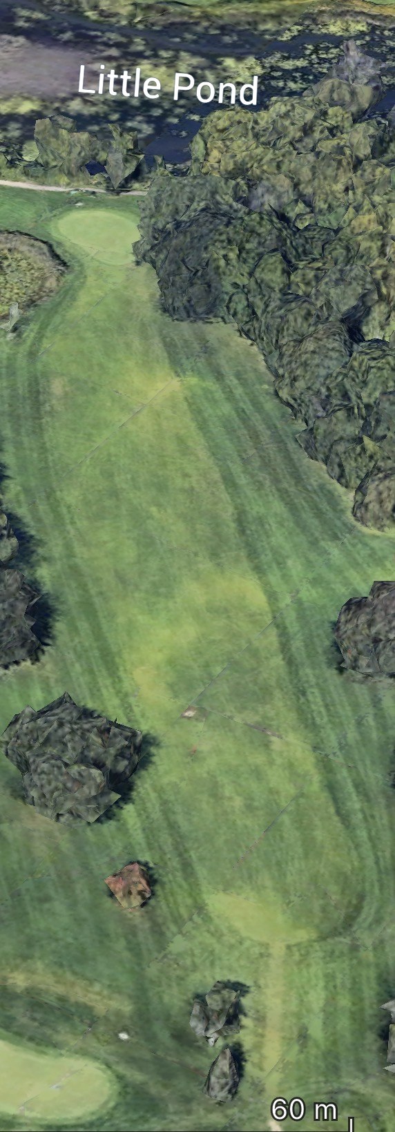 Little Pond course view