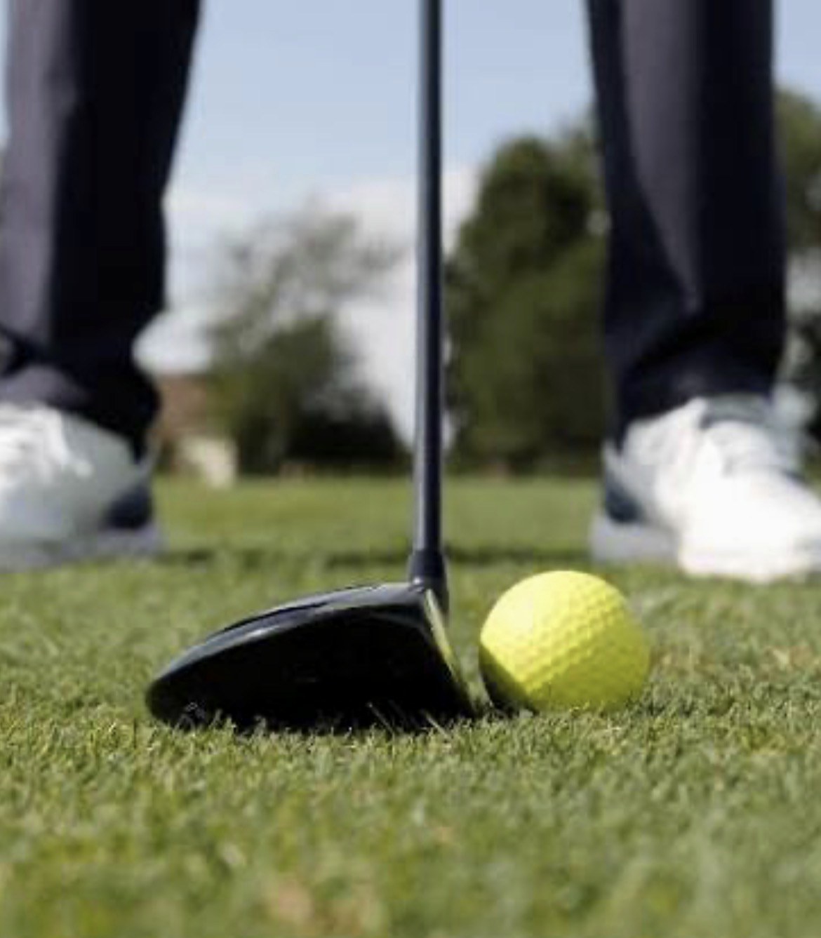 Driver behind golf ball on grass